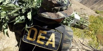 DEA erradicación narcotráfico