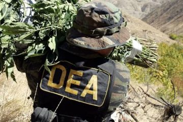 DEA erradicación narcotráfico