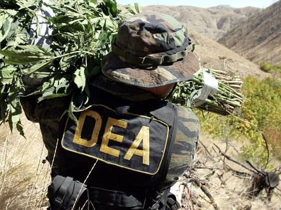 DEA erradicación narcotráfico