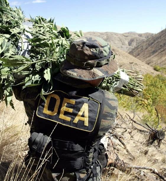 DEA erradicación narcotráfico