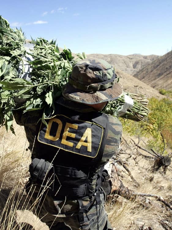 DEA erradicación narcotráfico
