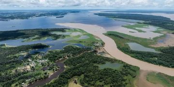 petrobras enuentra petroleo en el amazonas brasil