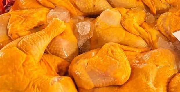venta pollo bolivia