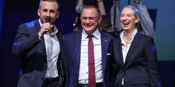 AFD elecciones regionales 2026