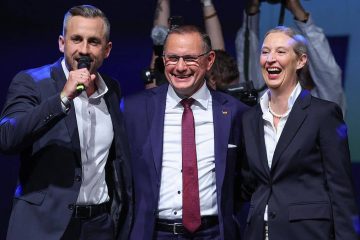 AFD elecciones regionales 2026