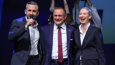 AFD elecciones regionales 2026