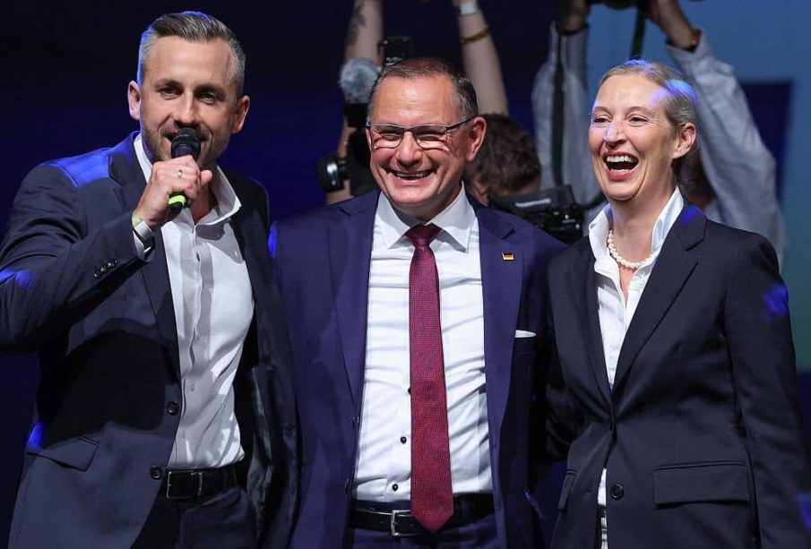 AFD elecciones regionales 2026