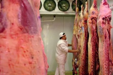 ganadería carne vacuna brasil