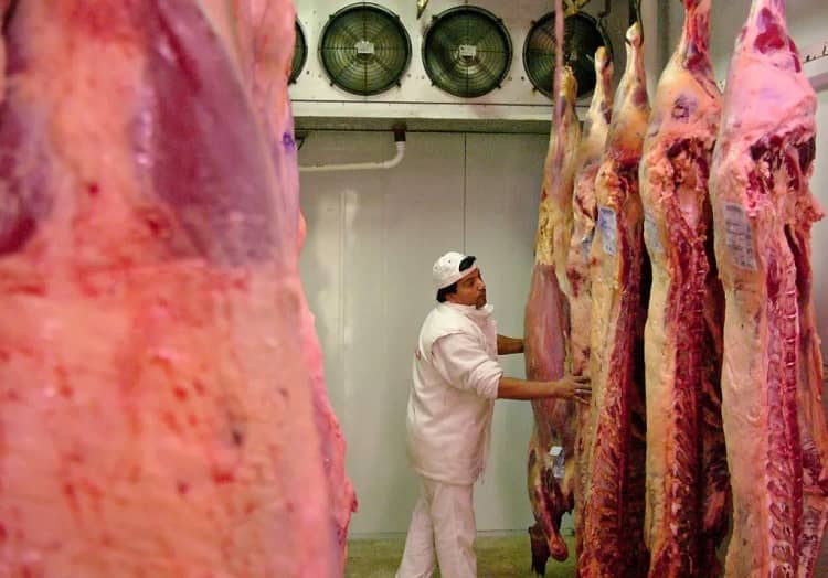 ganadería carne vacuna brasil
