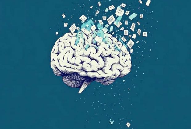 cerebro, educación textos breves fragmentarios lectura comprensiva