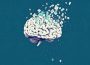 cerebro, educación textos breves fragmentarios lectura comprensiva