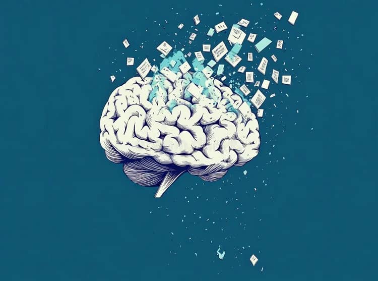 cerebro, educación textos breves fragmentarios lectura comprensiva