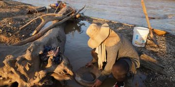 minería del oro contaminación ambiantal beni bolivia