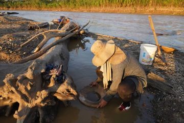 minería del oro contaminación ambiantal beni bolivia