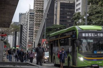 economía poblacion brasil